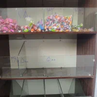 دستگاه تخمه پز وبوفه آجیل