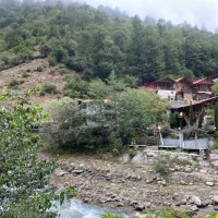 پرستار خانم برای سالمند آقا