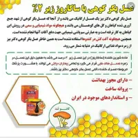 عسل بکر کوهی دکتر بیز (مناسب برای افراد دیابتی)|خوردنی و آشامیدنی|مشهد, دانشجو|دیوار