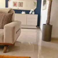 گیاه تنومند یوکا