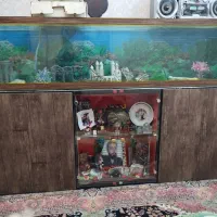 اکواریوم