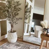 آینه گنبدی ارسال رایگان