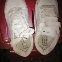 کفش نو|کیف، کفش، کمربند|بوشهر, |دیوار