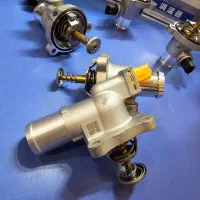 ترموستات ایکس۲۲ ایکس۵۵ فونیکس تیگو۷پرو|قطعات یدکی و لوازم جانبی|مشهد, زیبا شهر|دیوار