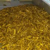 خیارشور.زیتون و انواع ترشیجات ترکیبی سردار|عمده‌فروشی|تهران, جیحون|دیوار