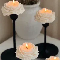 زیبایی منزل