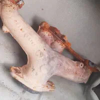 اگزوز منیفول  پژوه پارس