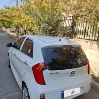 پیکانتو سفید استثنایی کم کار