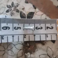 پیچ یک سانت