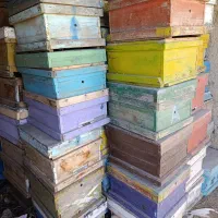 کندو و طبق دسته دوم