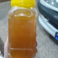 عسل کنار در حد وحشی