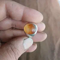 انگشتر شجر کهنه سنبه دار قدیمی|جواهرات|تهران, شوش|دیوار