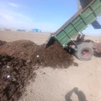 کود حیوانی پهن خرید فروش