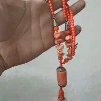 گردنی مرجان  طبیعی