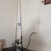 لنسر ماهیگیری