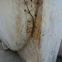 تعمیروجوش تانکر آب وجوشکاری با مواد پلی اتیلن|خدمات پیشه و مهارت|قرچک, پویینک|دیوار