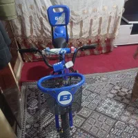 دوچرخه سایز20|دوچرخه، اسکیت، اسکوتر|گنبد کاووس, |دیوار