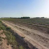 زمین گلتپه کبیر باغ ویلا دامداری سنددار