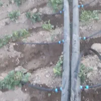 شیلنگ نخدار