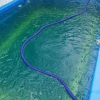 تاسیسات حرارتی و برودتی، تعمیرات، خدمات، نمایندگی