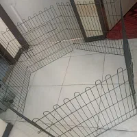 پارک سگ