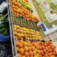 مغازه-میوه-فروشی