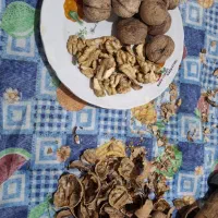 گردو محلی|خوردنی و آشامیدنی|فولادشهر, C4|دیوار