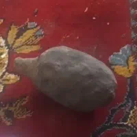 جیوه لونه