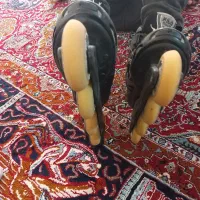 اسکیت|دوچرخه، اسکیت، اسکوتر|سنقر, |دیوار