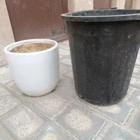 لوازم خانه|تلویزیون و پروژکتور|فردیس, منظریه|دیوار