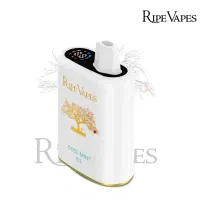 پاد ۴۰/۰۰۰ کام تمشک یخ