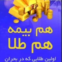 بازنشستگی زیر50سال بیمه پاسارگاد|خدمات مالی، حسابداری، بیمه|رامشیر, |دیوار