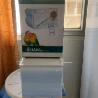 لانه عروس هلندی