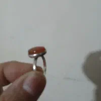 حلقه نقره و انگشتر شرف الشمس|جواهرات|مشهد, چهارچشمه|دیوار