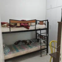 تخت دو طبقه جوان