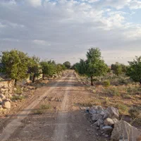 خرید و فروش زمین ،خانه،باغ در نیر|فروش زمین و ملک کلنگی|نیر (یزد), |دیوار