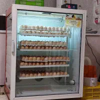 دستگاه جوجه کشی 588 تایی زرین طیور سپاهان