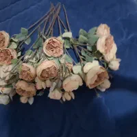 گل های خارجی وبا کیفیت