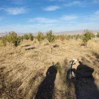 فروش باغ شهر در سلطانیه|فروش زمین و ملک کلنگی|سلطانیه, |دیوار