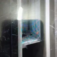 کارگرکاشیکاری