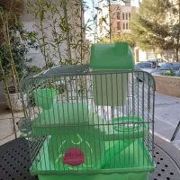 قفس همستر وارداتی با هدیه|لوازم جانبی حیوانات|قزوین, |دیوار