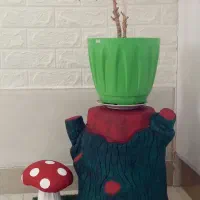 قارچهای تزئینی باغچه ای خاص وضد اب