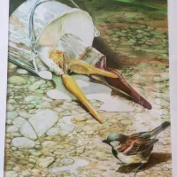 اموزش طراحی و نقاشی|خدمات آموزشی|تهران, شهرک چیتگر|دیوار