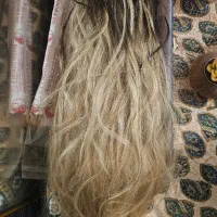 شاخه موی لایت شده مناسب اکستنشن