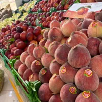 کار در میوه فروشی شیک و حقوق خوب|استخدام خدمات فروشگاه و رستوران|زارچ, |دیوار