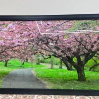 تابلو چراغ دار|تابلو، نقاشی، عکس|ملارد, |دیوار