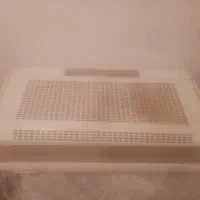 هود|هود|برازجان, |دیوار