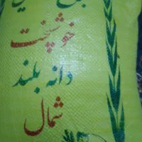 برنج کشت دوم امرالهی