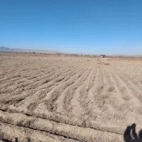 زمین-کشاورزی-در-روستای-قردین