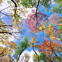 اینجا آموزشگاه زبان با ۲۴ ترم نیست(مکالمه واقعی)